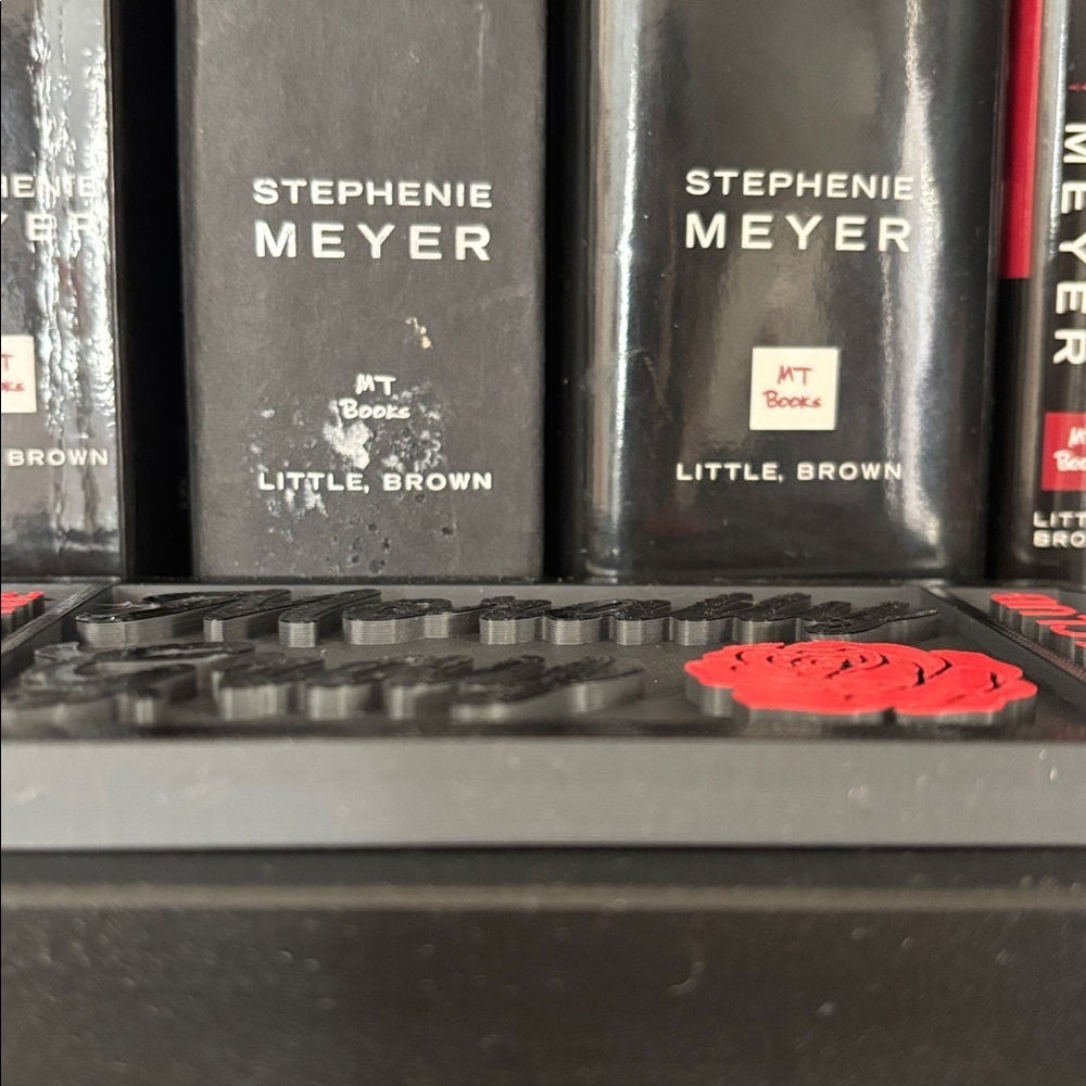 Morally Gray Book Club Ticket Shelf Decor 🎟️🌹🖤 - Picture 2 of 2
